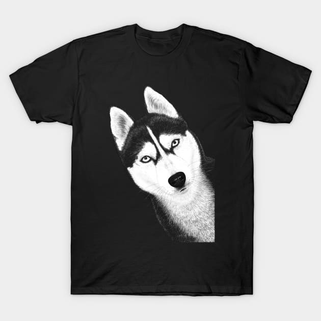 Black husky Husky T Shirt TeePublic